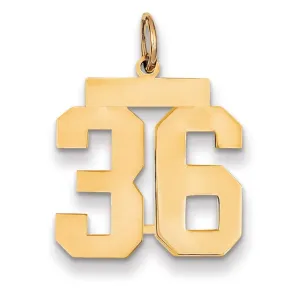 14K Yellow Gold Polished Finish Medium Size Number 36 Charm Pendant
