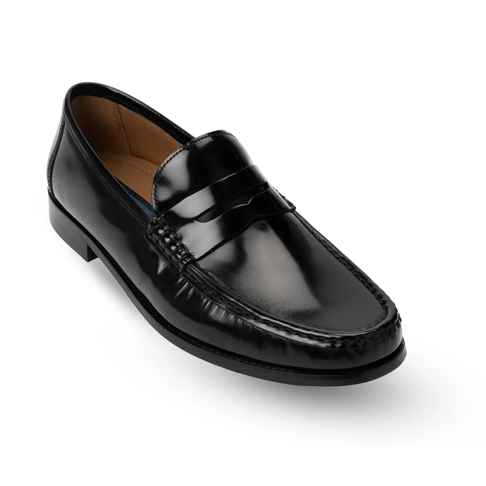 Men's Penny Loafer Slip on Shoe