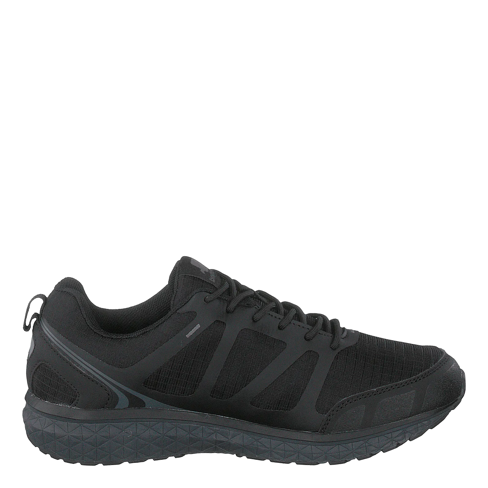 Vector Black/dark Grey