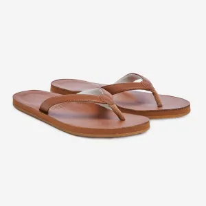 Women's Clipper | Acorn